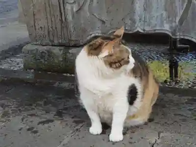 賀茂別雷神社(栃木県)
