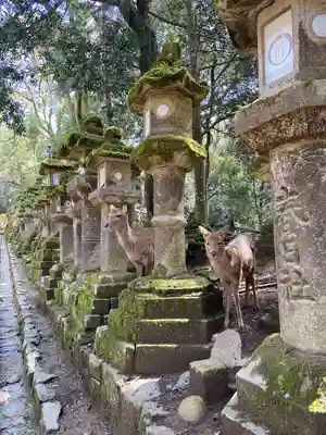 春日大社(奈良県)