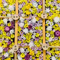 土津神社|こどもと出世の神さまの手水舎