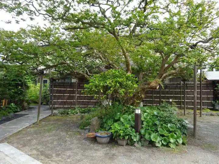 補陀落寺の自然