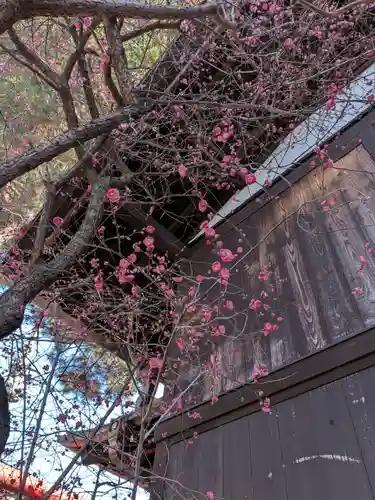 猿田彦神社(東京都)