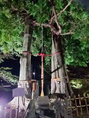 武雄神社(佐賀県)