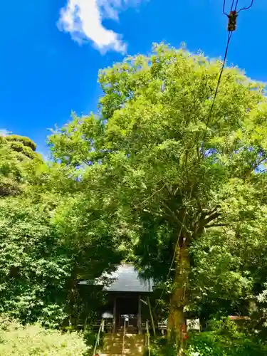 薬師寺のその他建物