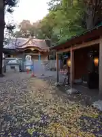 小金井神社の本殿・本堂