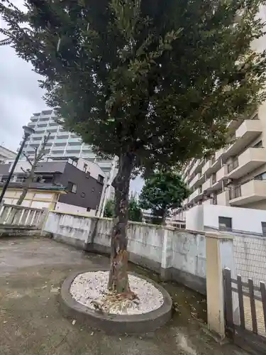 綾瀬神社(東京都)