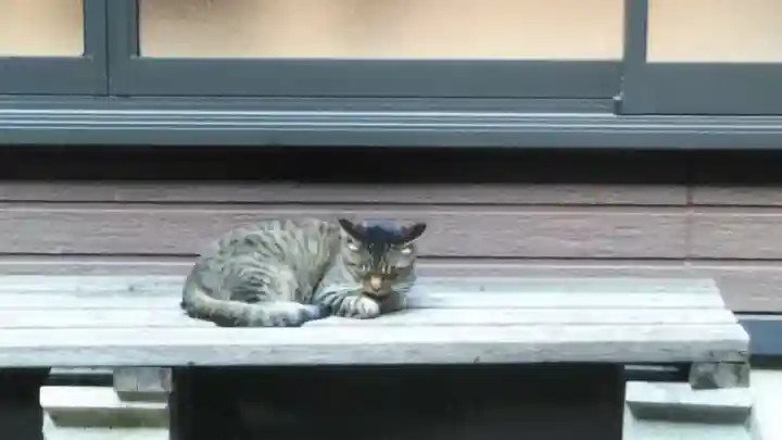諏訪神社の動物