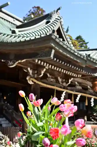 筑波山神社の自然