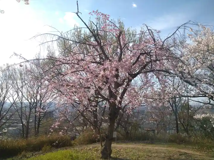 足高神社の自然