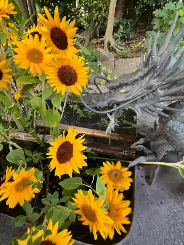 東海市熊野神社の手水舎