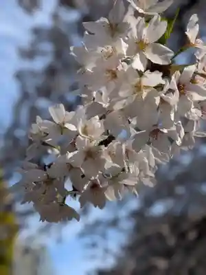 熊野神社(東京都)