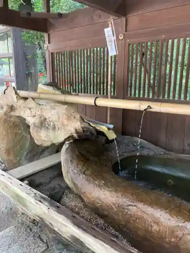 賀茂御祖神社（下鴨神社）(京都府)