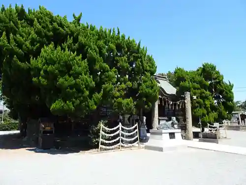 天満神社の庭園