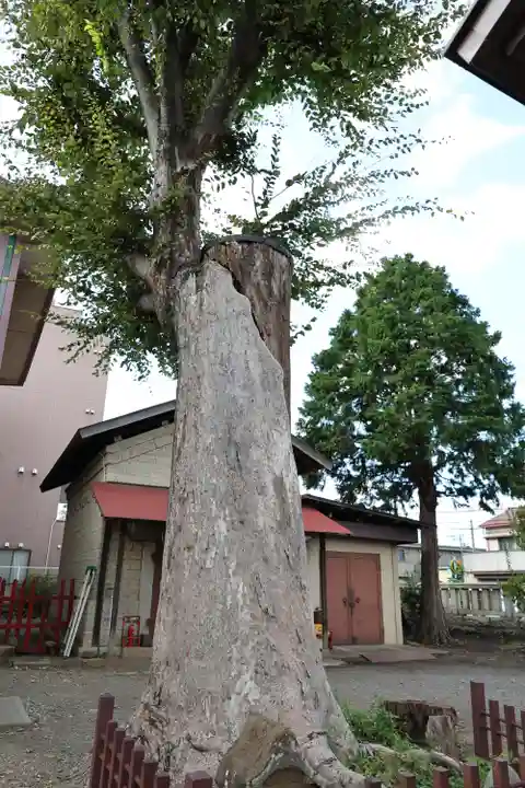 日野八坂神社(東京都)