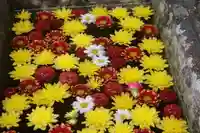 八幡神社の手水舎