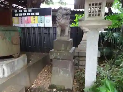 子安稲荷神社の狛犬