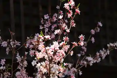 阿邪訶根神社の授与品その他