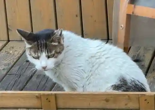 装束稲荷神社（王子稲荷神社境外摂社）(東京都)