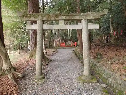 出雲大神宮の鳥居