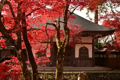 永源寺(滋賀県)