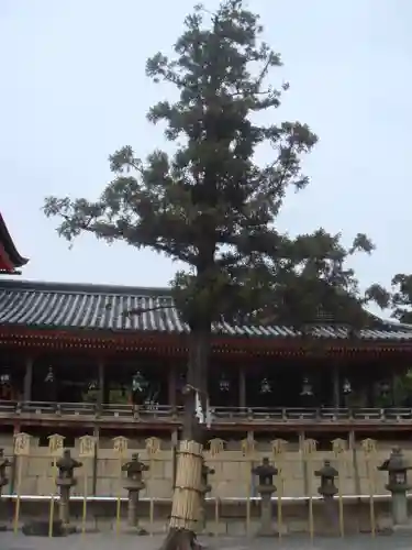 石清水八幡宮の自然