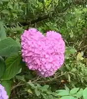 大本山誕生院 の御朱印