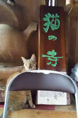 御誕生寺（猫寺）(福井県)