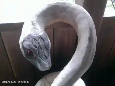 伊太祁曽神社(和歌山県)