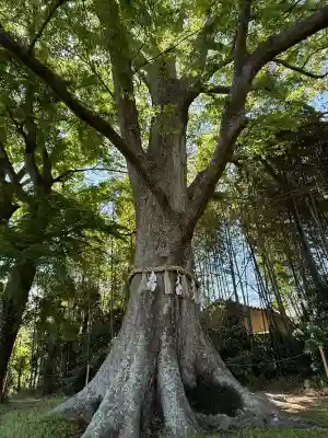 水戸八幡宮(茨城県)