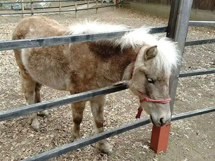 平塚八幡宮(神奈川県)