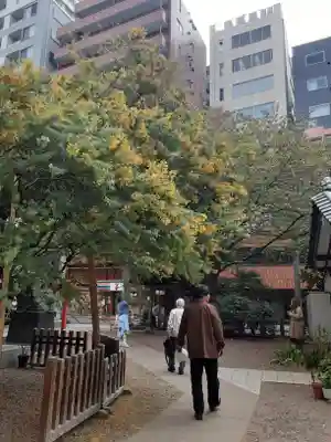 蔵前神社(東京都)