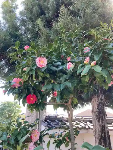 薬王寺(神奈川県)