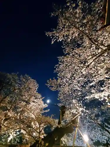 如宝寺(福島県)