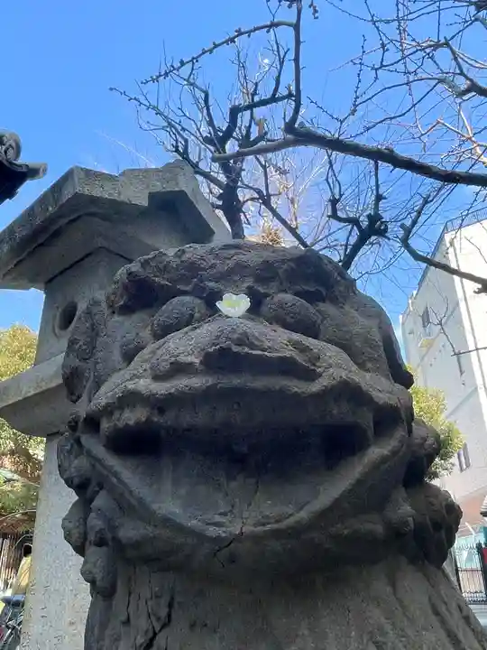 天神社の狛犬