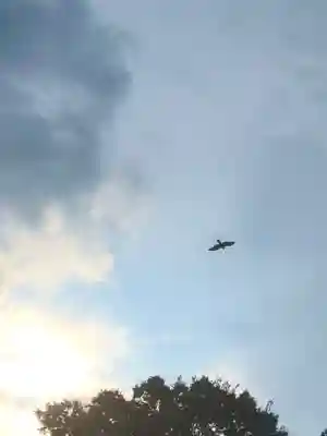 不動院(板橋不動尊)(茨城県)