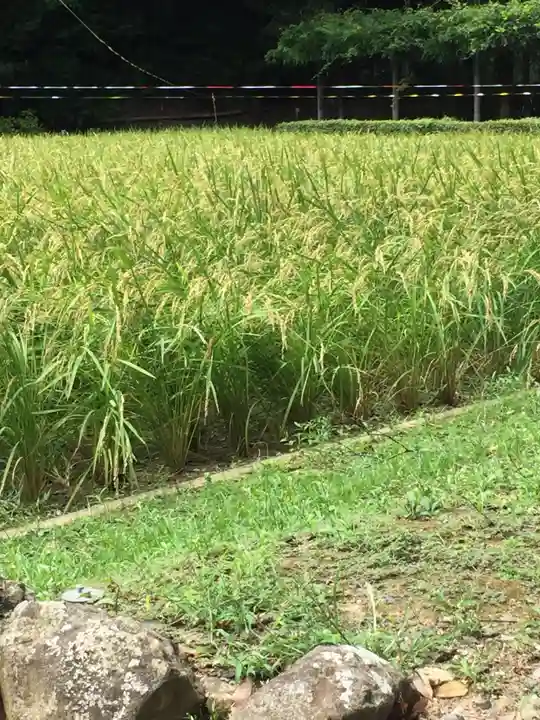 猿田彦神社のその他建物
