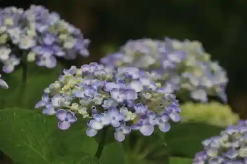 豊景神社の自然