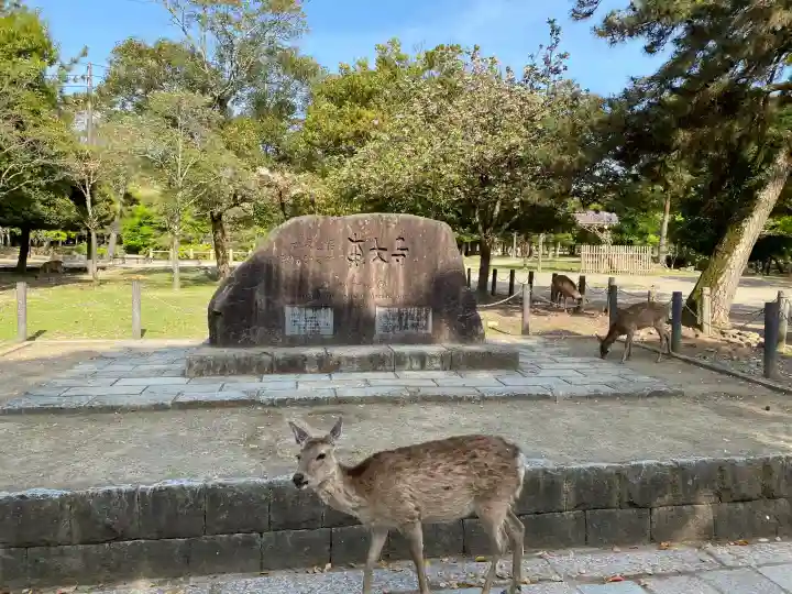 東大寺の{uncategorized: "未分類", other: "その他", undefined: "問題あり", building: "その他建物", grave: "お墓", sacred_gate: "鳥居", guardian: "狛犬", statue: "像", buddha: "仏像", history: "歴史", nature: "自然", garden: "庭園", animal: "動物", pagoda: "塔", temizu: "手水舎", mountain_gate: "山門・神門", sanctuary: "本殿・本堂", subordinate: "末社・摂社", art: "芸術", scenery: "景色", jizo: "地蔵", ema: "絵馬", goshuin: "御朱印", omikuji: "おみくじ", items: "授与品その他", amulet: "お守り", goshuincho: "御朱印帳", eats: "食事", festival: "お祭り", votive_dance: "神楽", shichigosan: "七五三参", wedding: "結婚式", experience: "体験その他", initially: "初詣", around: "周辺", anti_infection: "感染症対策"}