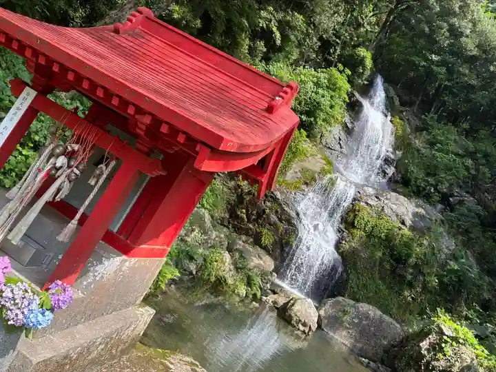 國分寺奥の院(毘沙門堂)(高知県)