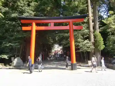 霧島神宮(鹿児島県)