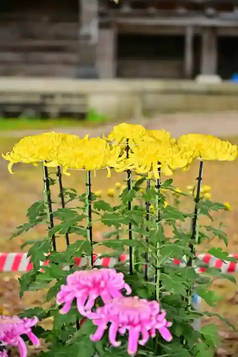 普光寺(新潟県)