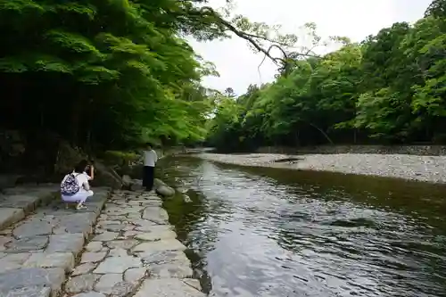 伊勢神宮内宮（皇大神宮）の自然