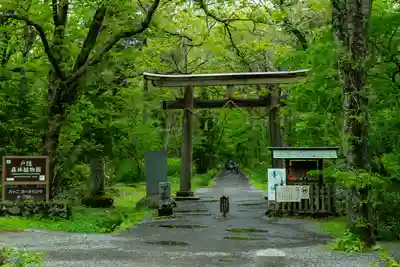 戸隠神社奥社(長野県)
