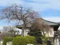 慈眼寺(東京都)