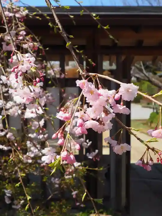 本土寺(千葉県)