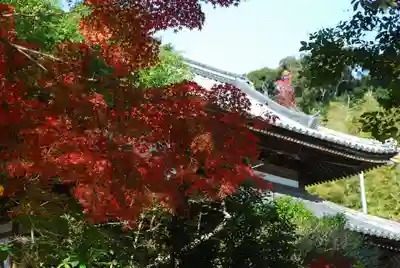 覚苑寺(山口県)