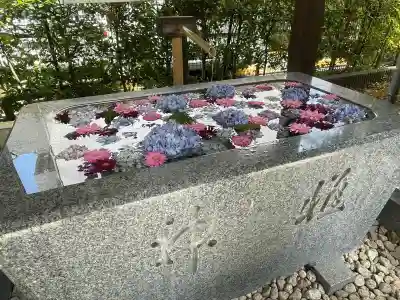 桜神宮(東京都)