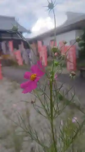 井際山 如意輪寺(愛知県)