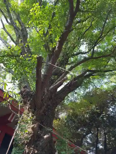笠䅣稲荷神社(神奈川県)