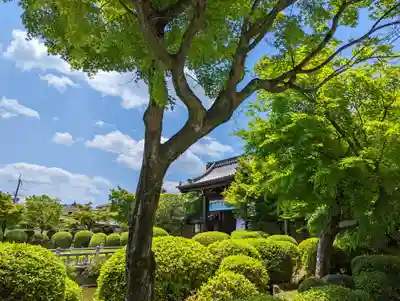 妙満寺(京都府)
