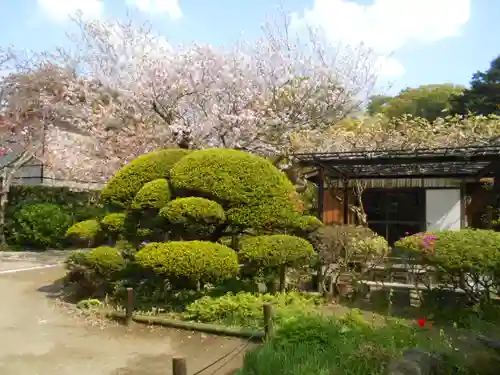 極楽寺（霊鷲山感應院極楽律寺）の庭園